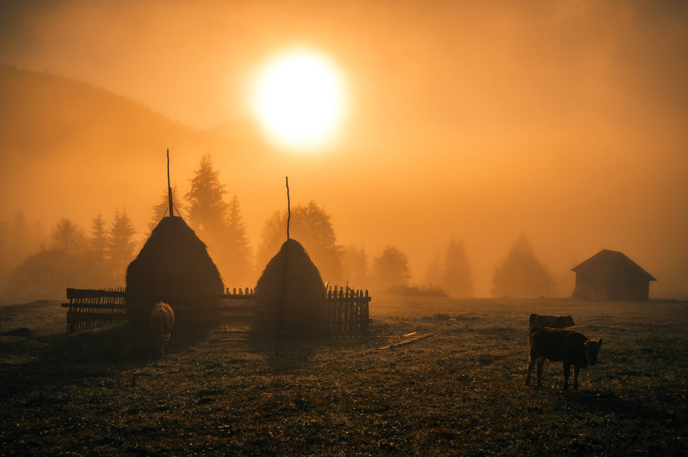 Warm morning von Cristian Mihart