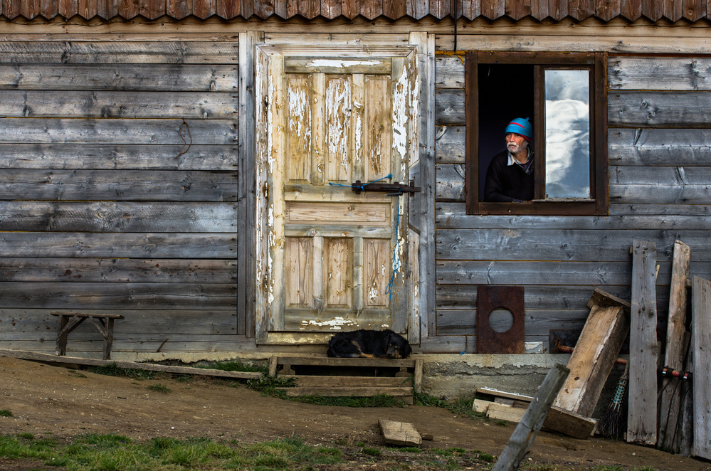 A man, a dog, an empty chair von Cristian Sarpe