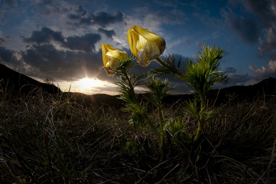 Afternoon von Csaba Tokolyi