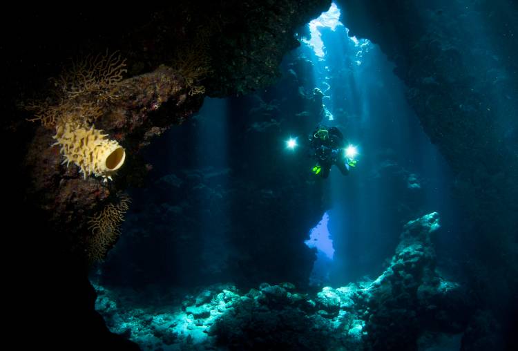 The Explorer von Csaba Tokolyi