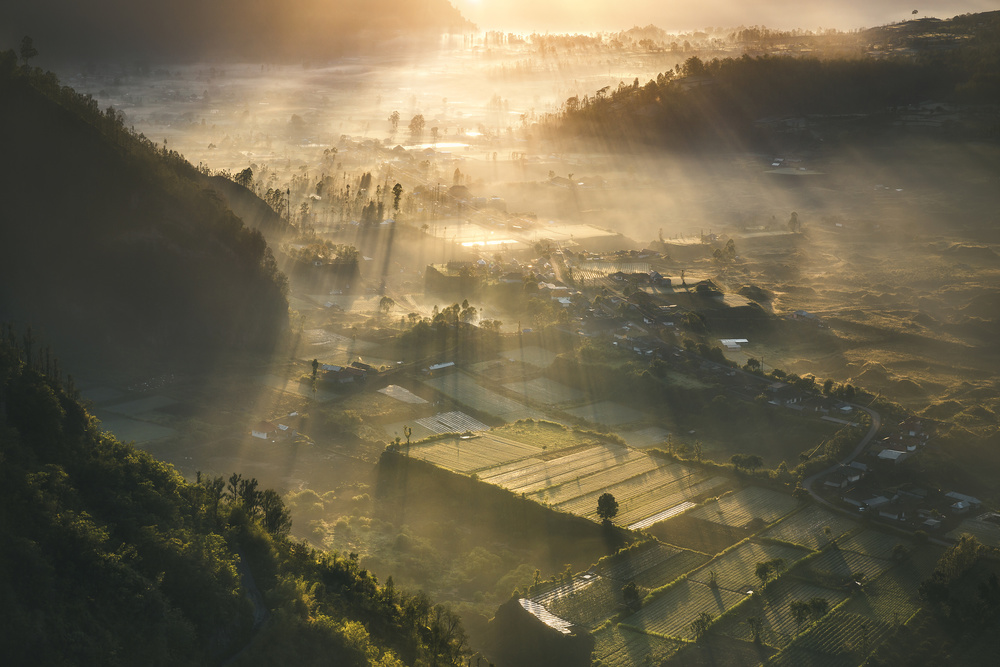 The Valley von Cuma Cevik