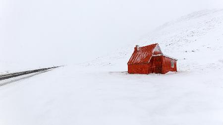 Red little house