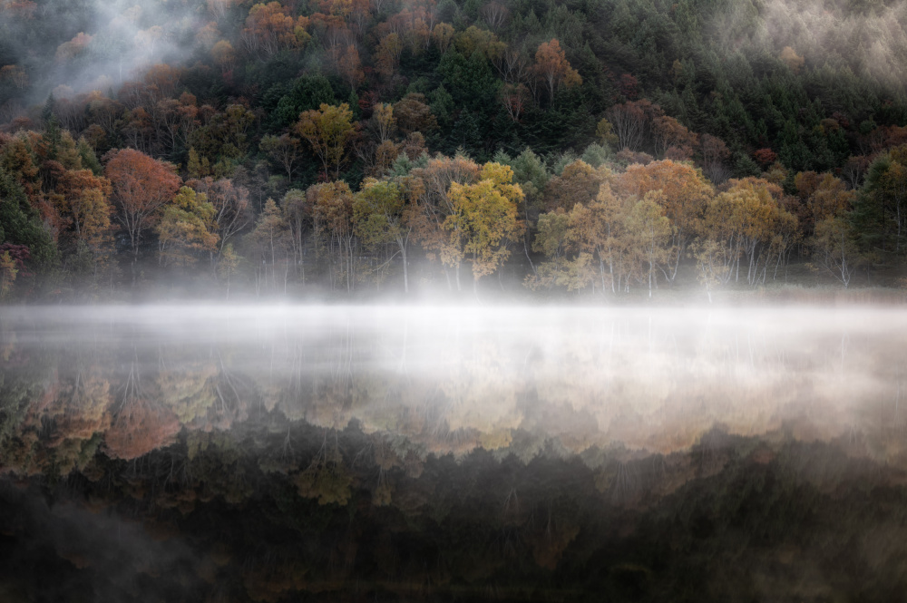 The mystical pond in the autumn von Daiki Suzuki