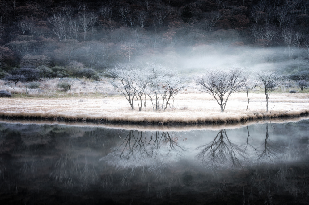 Between autumn and winter von Daiki Suzuki