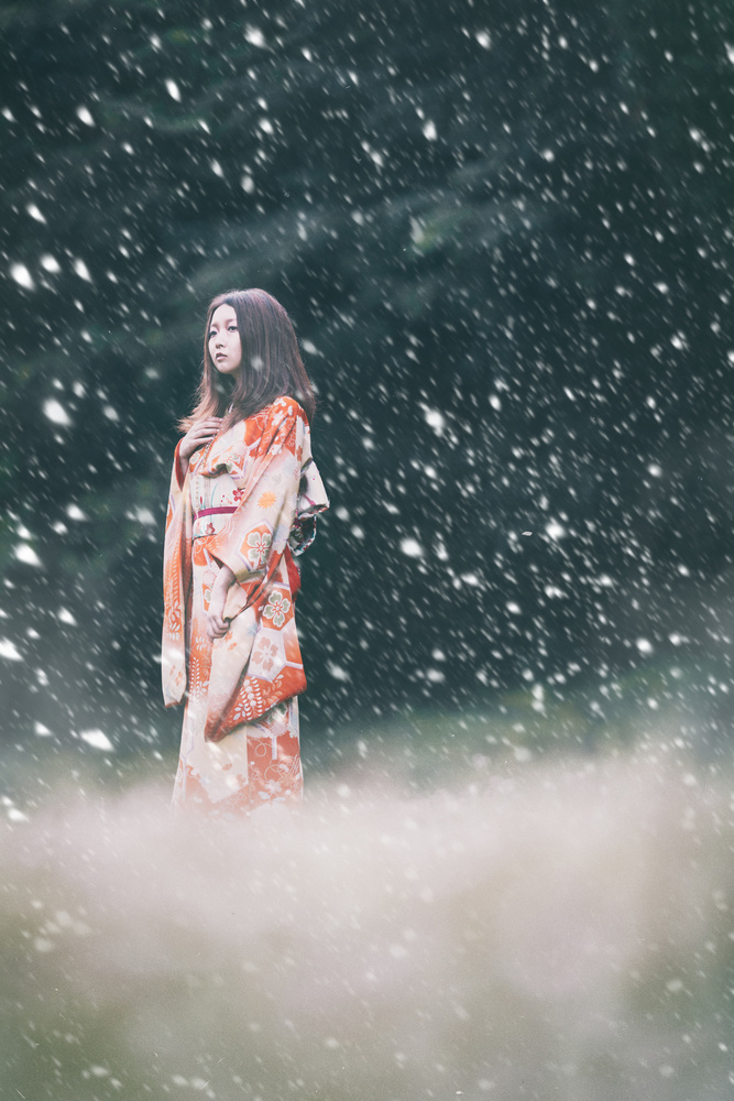 Princess in the Snow von Daisuke Kiyota