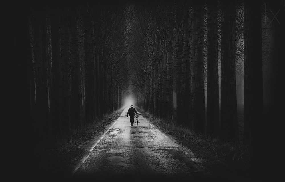 the way von Damijan Sedevcic