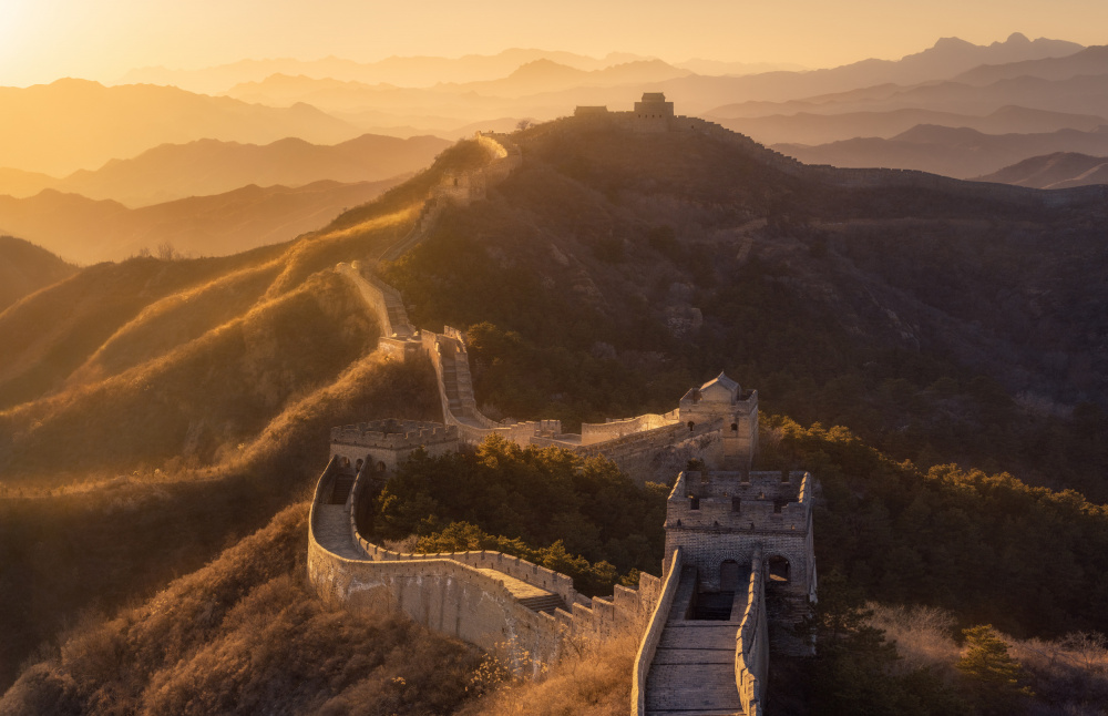 flying dragon in the golden light von Damon Hao