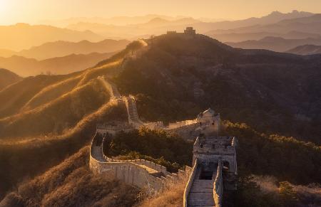 flying dragon in the golden light