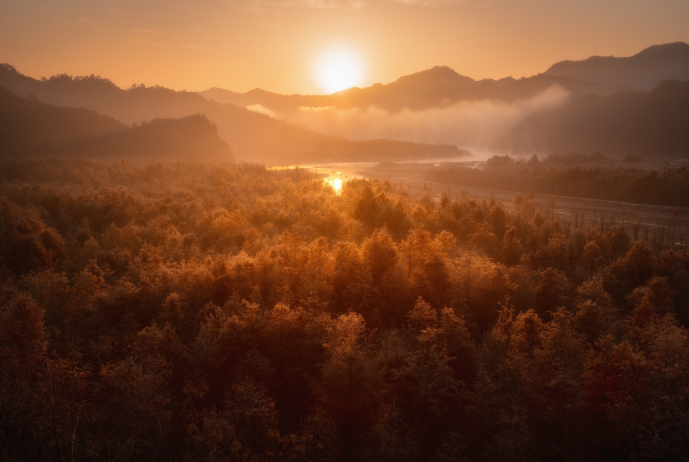 Red forest von Damon Hao