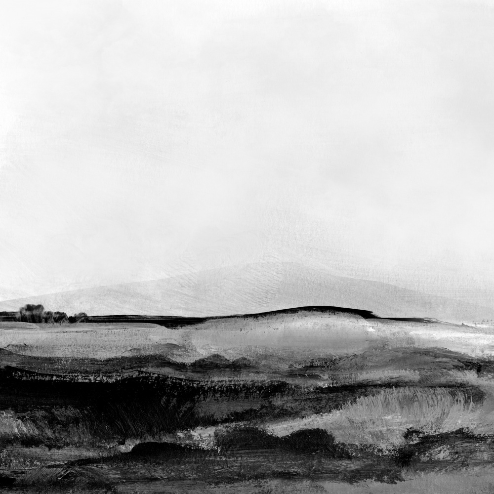 Mono Landscape No1 von Dan Hobday