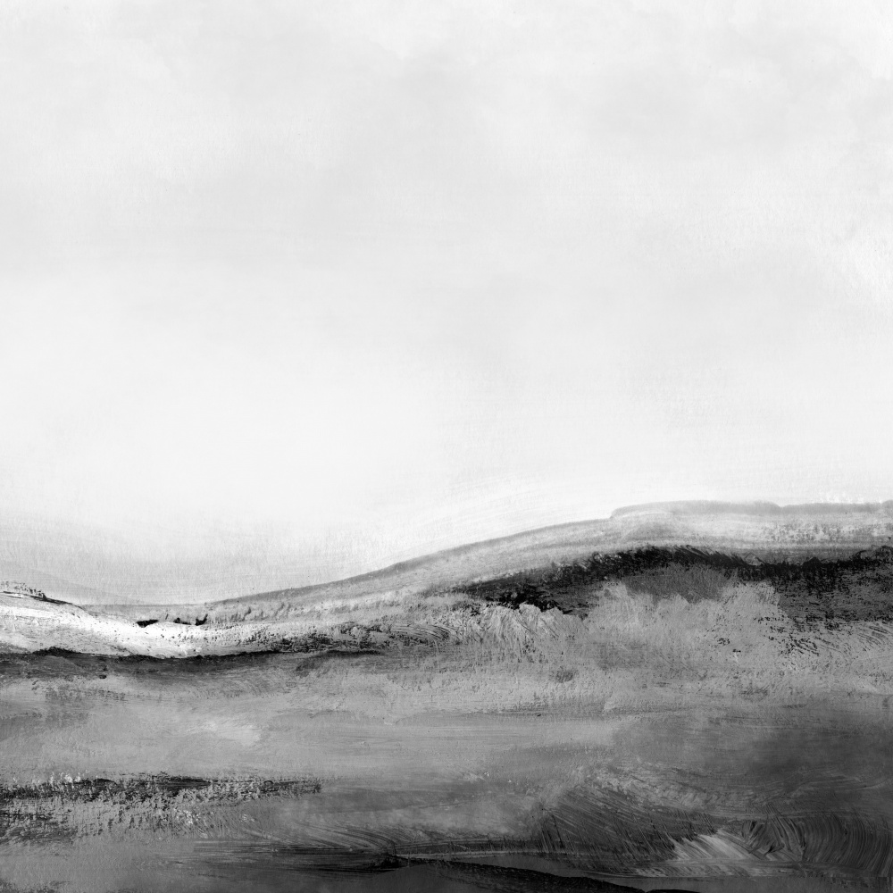 Mono Landscape No2 von Dan Hobday