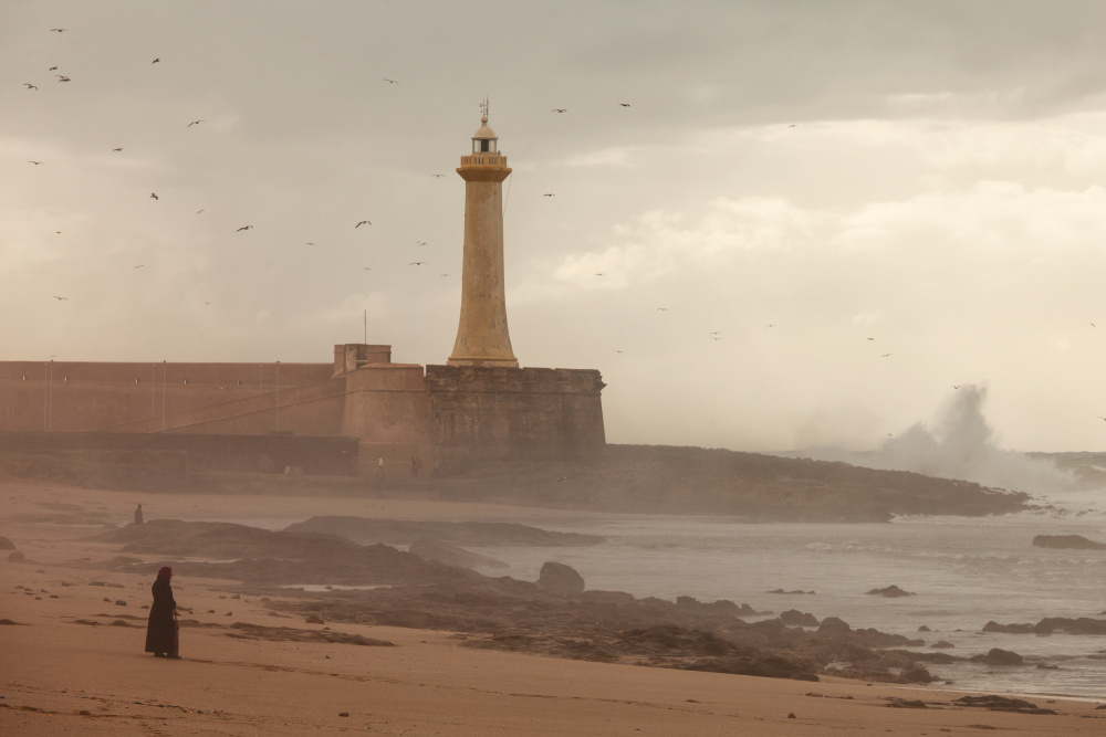 Woman and her storm von Dan Mirica