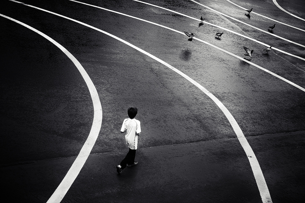 Boy and Pigeons von Dani BS.