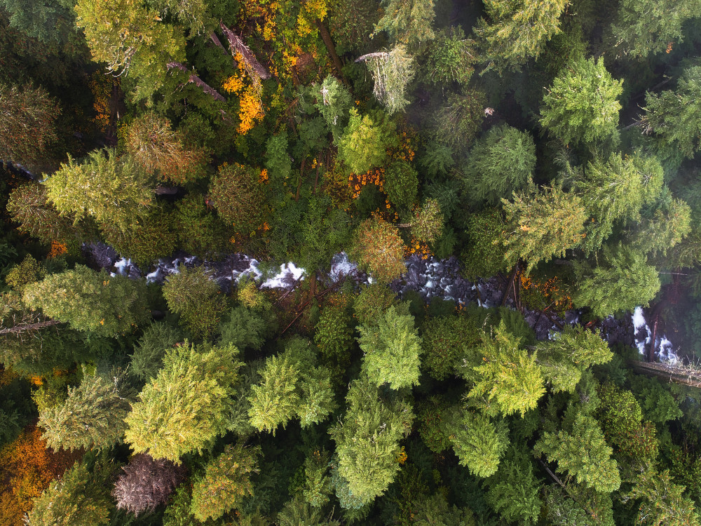 Autumn Beauty von Daniel Gastager