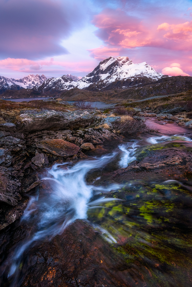 Pink Clouds in Norway von Daniel Gastager