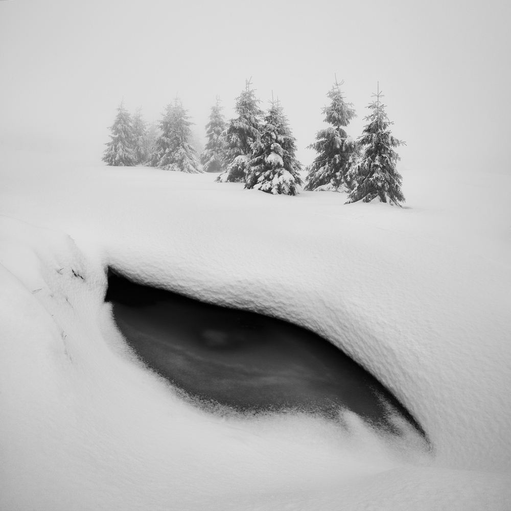 Dragon eye von Daniel Rericha