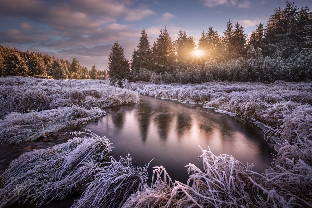 Frosty morning at the creek... von Daniel Rericha