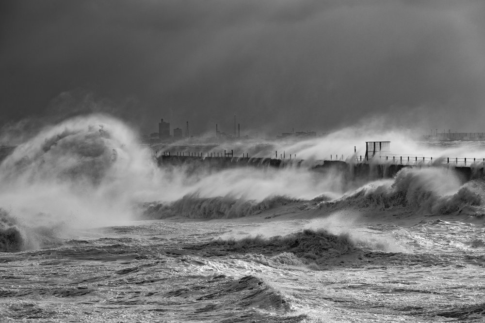 The Great Storm von Daniel Springgay