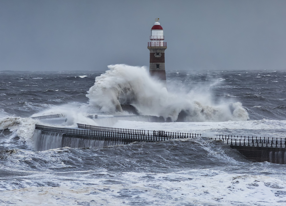 Storm Rising von Daniel Springgay