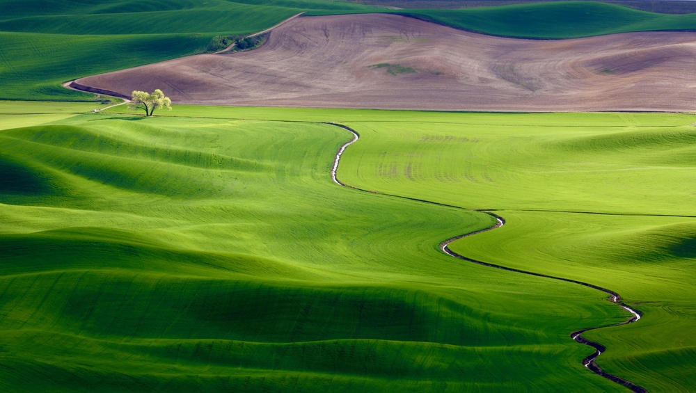 A creek runs through it von Danny Gao