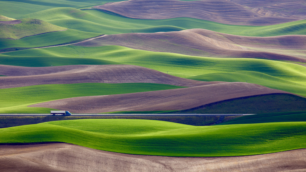 Driving in the wheat field at Palouse von Danny Gao