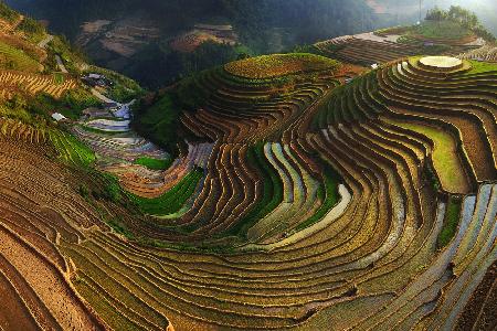 Mu Cang Chai - vietnam