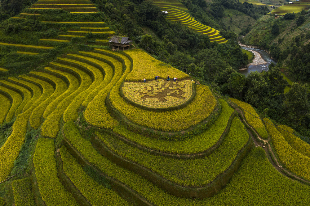 Mu Cang Chai - VietNam von Dao Tan Phat