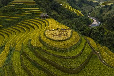 Mu Cang Chai - VietNam