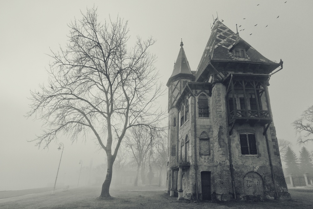 Spooky house von Darko Sreckovic