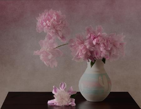 Peonies Still Life