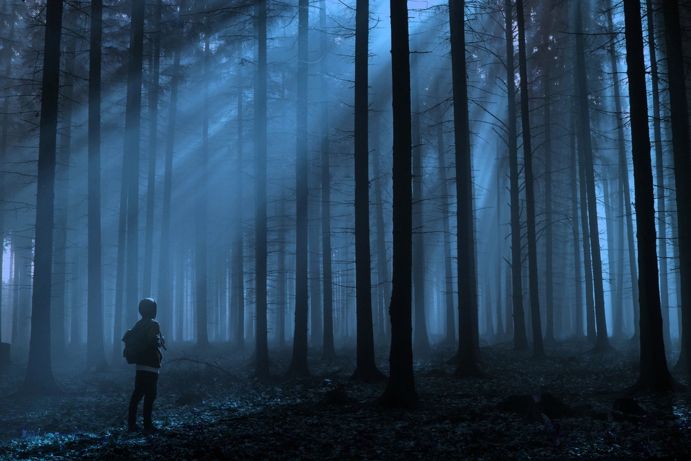 Blue forest von David Charouz