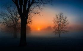 Foggy sunrise