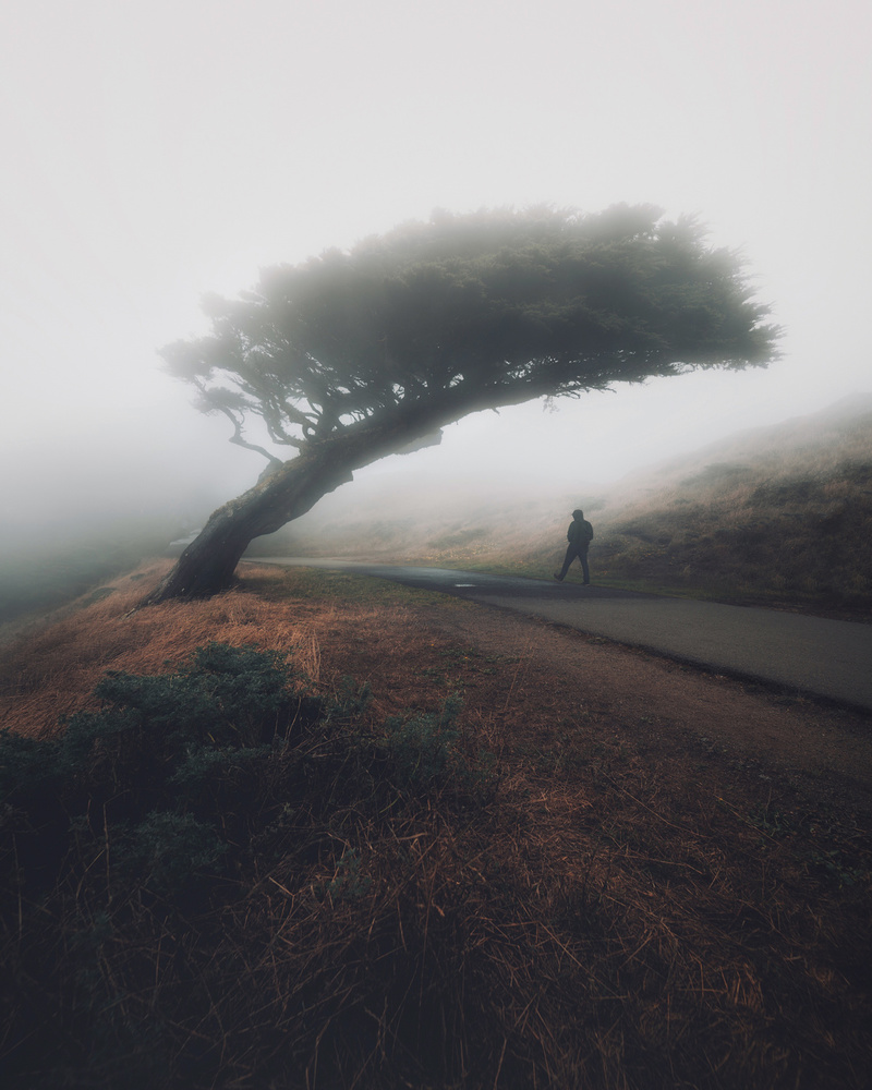 Moody Point Reyes von David George