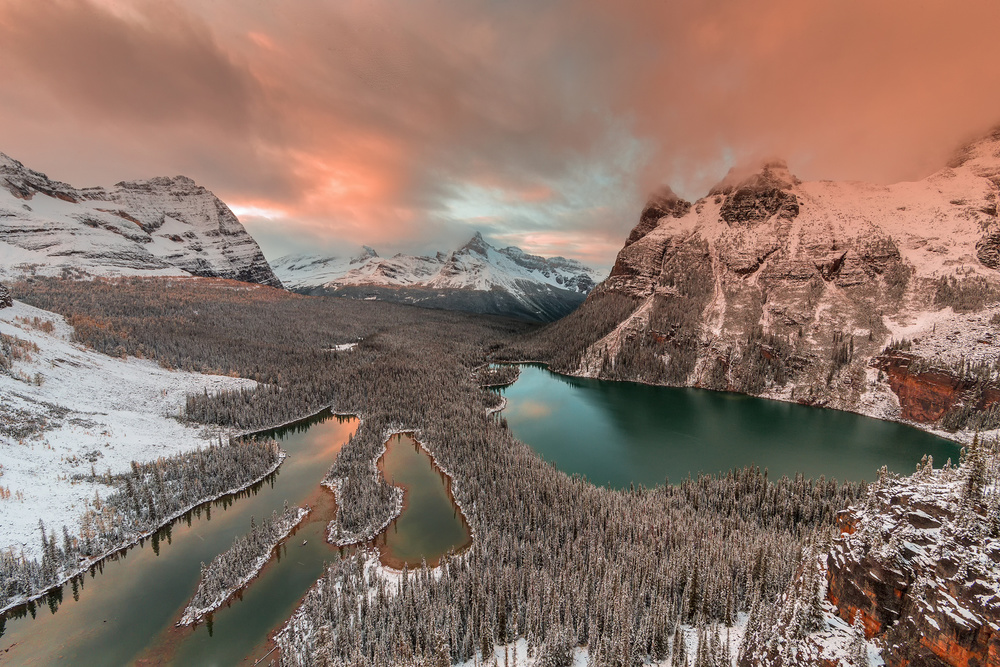 Golden Light over Opabin Lake von David Hua