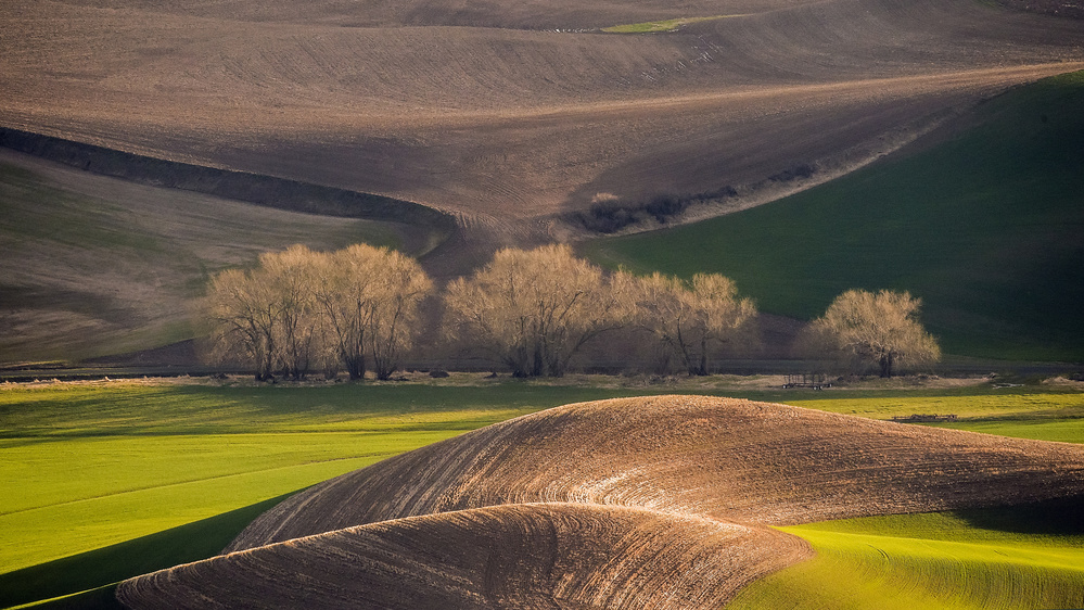 The Spring Is Coming von David H Yang