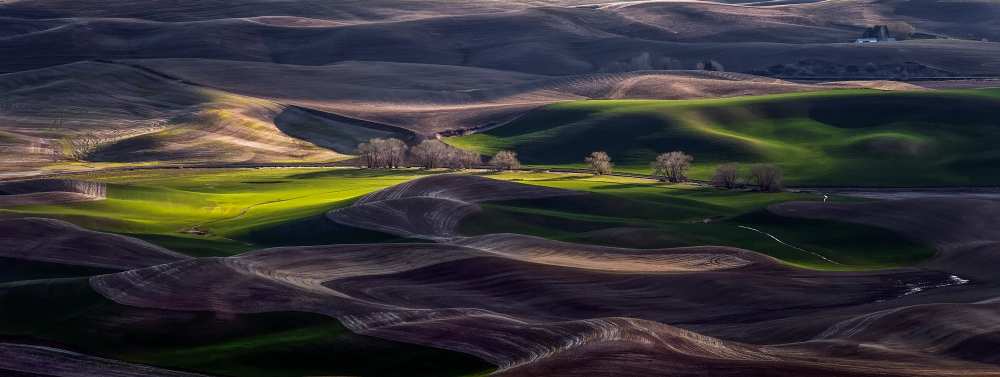 Last Light Of The Day von David H Yang