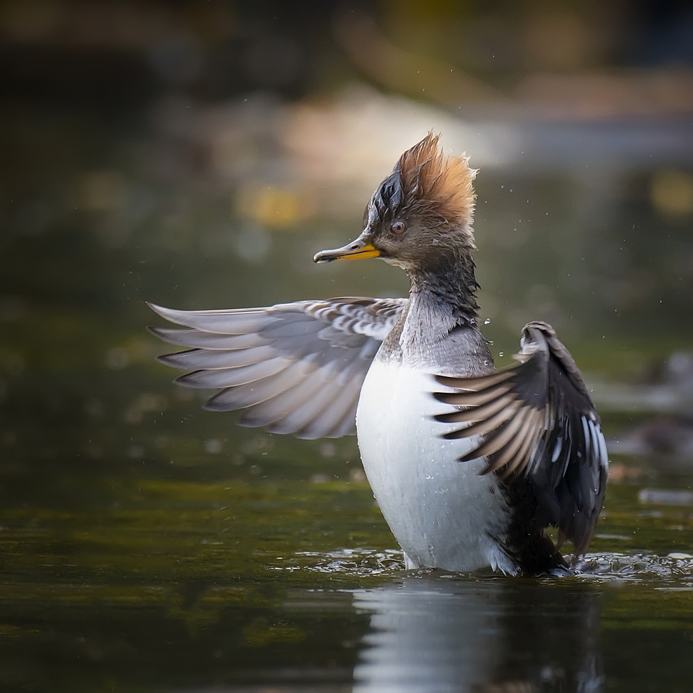 Wet Hug von David H Yang