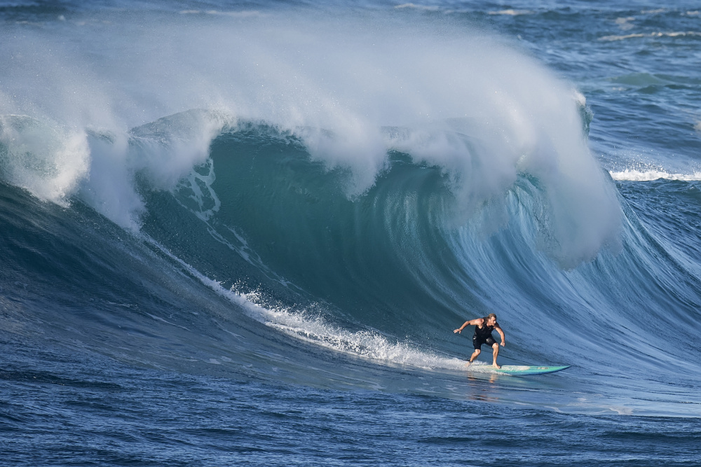 Surf von David H Yang