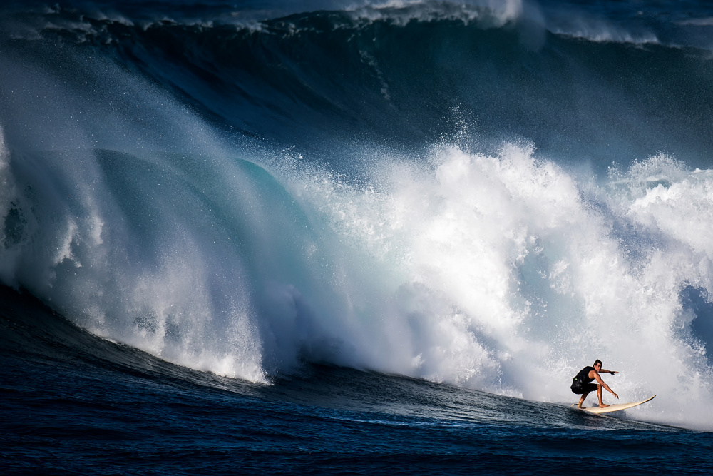 Surf von David H Yang