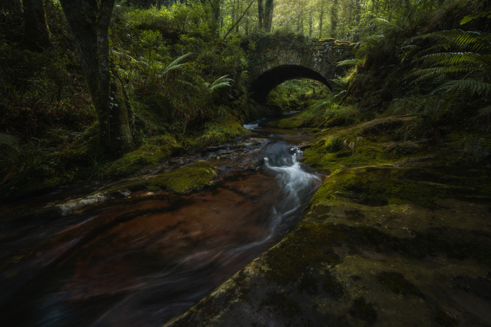 The old bridge von David Lopez Garcia