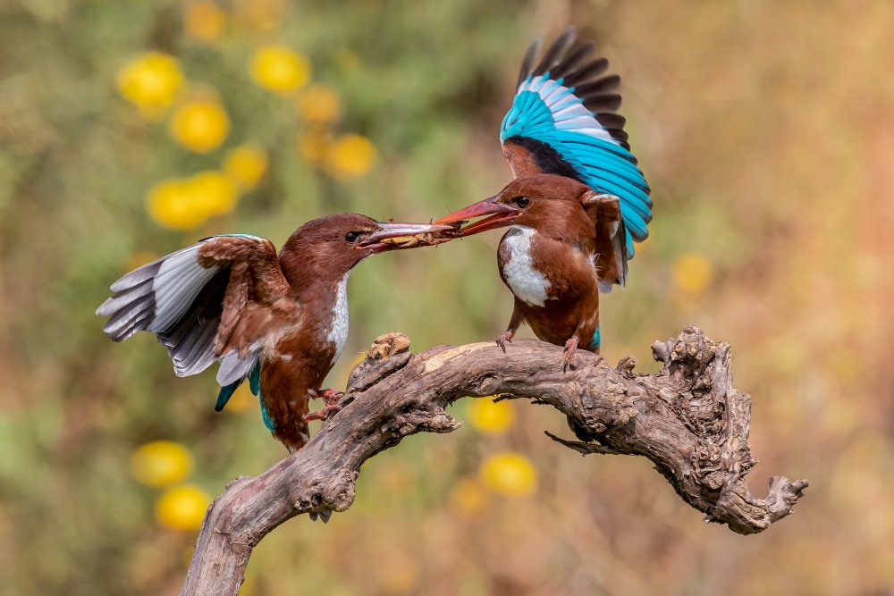 Family breakfast von David Manusevich