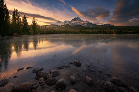 Annette Lake