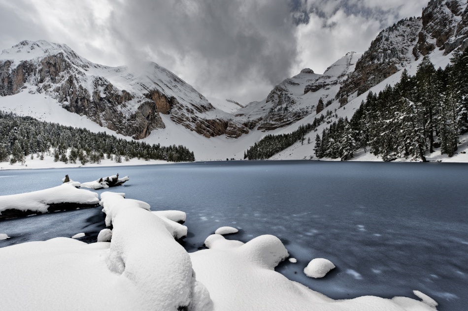 Last snowfall (La Basa la Mora) von David Martín Castán