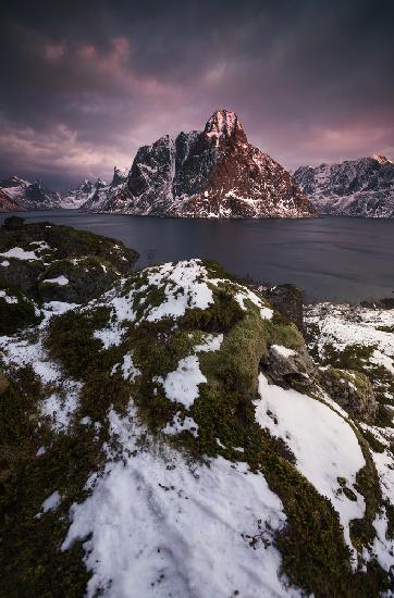 Reine