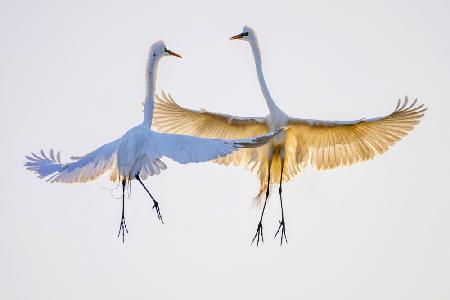 pas de deux