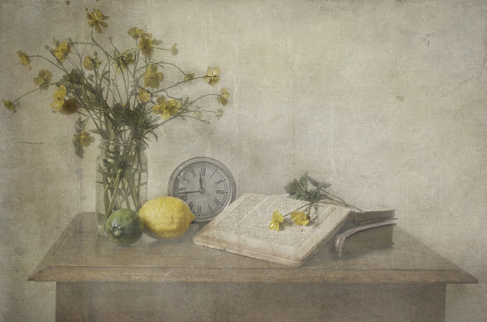 Lemon still life von Deborah Gugeri