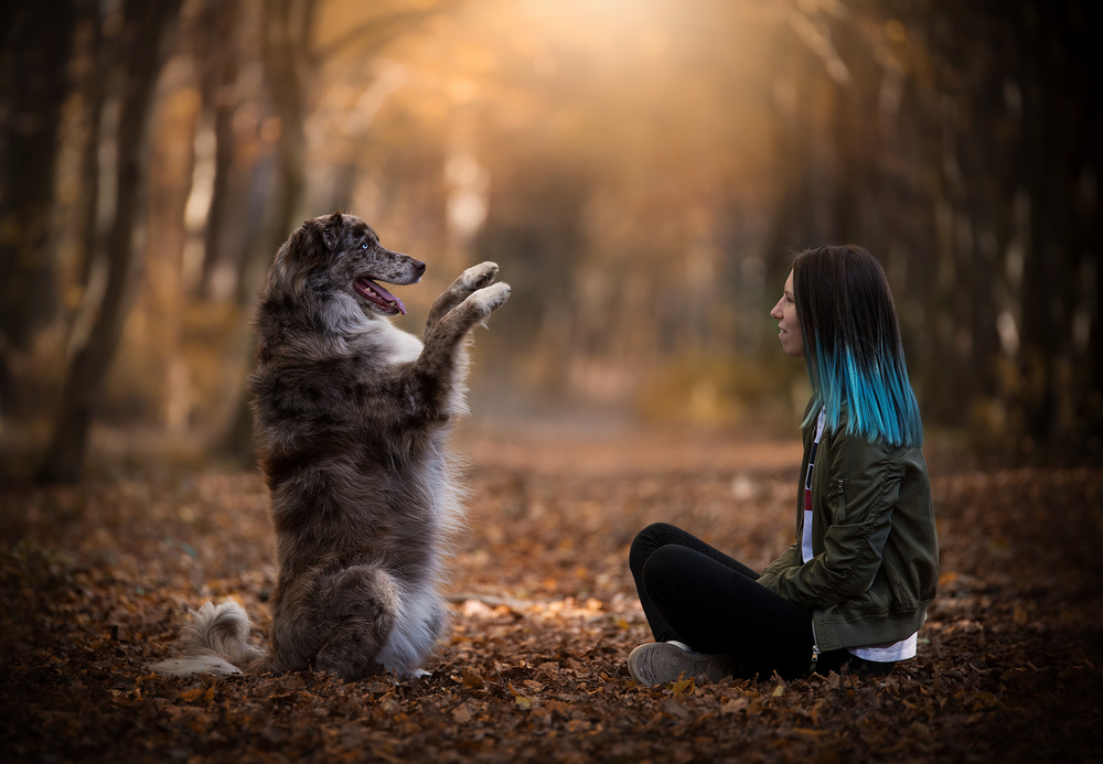 “Dogs do speak, but only to those who know how to listen.” von Dejana