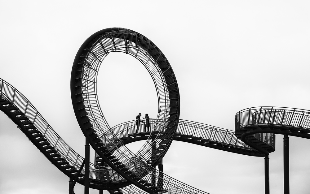 tiger and turtle von DELETED