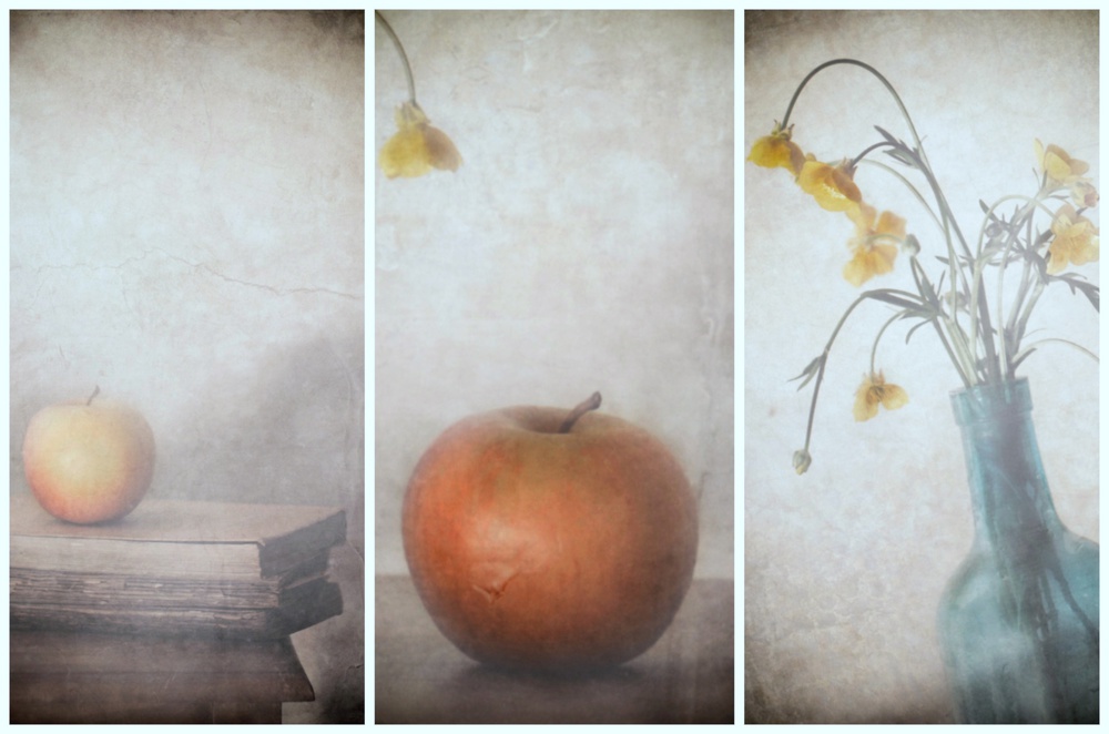 Answer July (Triptych) von Delphine Devos