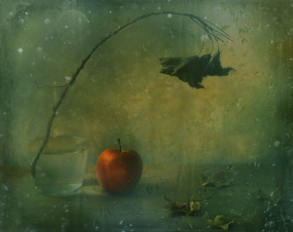 The red apple von Delphine Devos